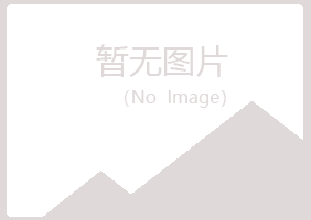 曲江区白山会计有限公司